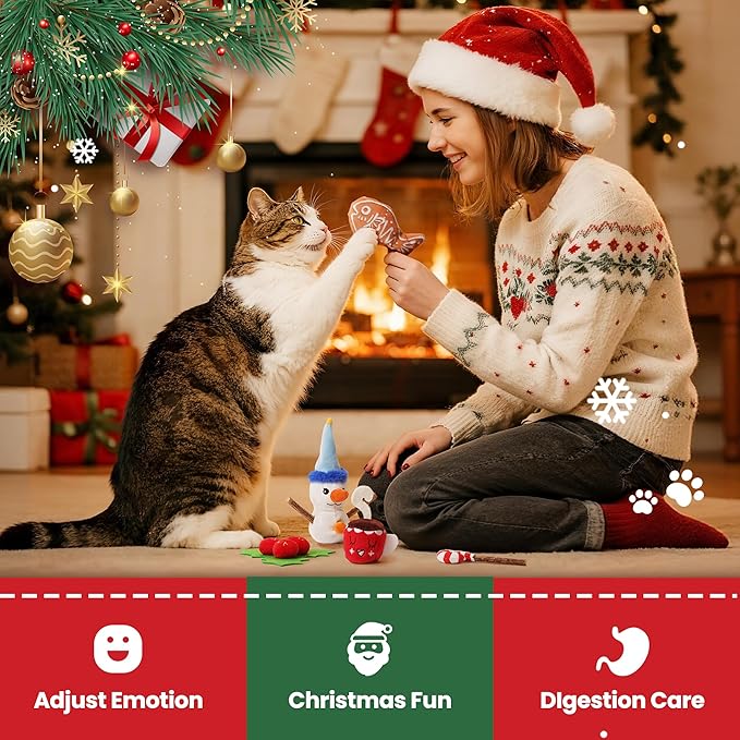 Christmas Cat Toys - 5PCS Catnip Toys for Cats Christmas Theme, Cat Chew Toy with Silvervine Sticks for Cats Health, Durable Fleece Material Snowman, Gingerbread, Cane, Coffee, Holly Berry