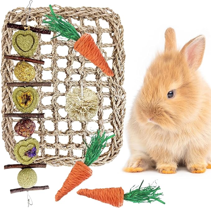 Hamiledyi Rabbit Seagrass Activity Mat Bunny Toy Hanging Rabbit Chew Toys for Teeth Bunny Enrichment Toys Seagrass Protector Mat Small Animal Toys for Chinchilla Guinea Pigs Hamsters Rats Rodent
