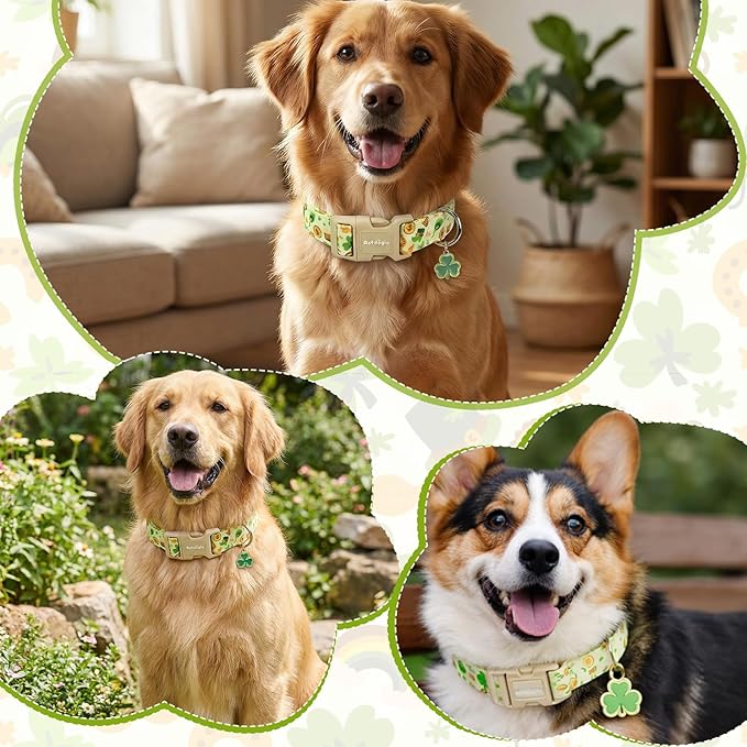 St. Patrick's Day Dog Collar,Light Green Puppy Collar with Lucky Shamrock,Adjustable Spring Cotton Collars Gifts for Small Medium Large Dogs,Dog Accessories L