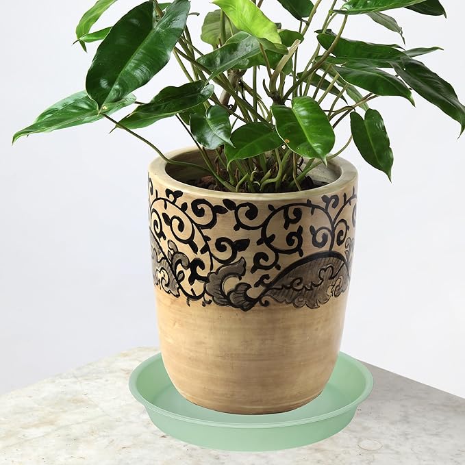 6 Pack of 12 inch Plant Saucer, Heavy Duty Plastic Plant Saucer 12" Round, Durable Plant Tray for Pots, Plant Saucers for Indoors, Plant Trays for Planter (12", Light Green)
