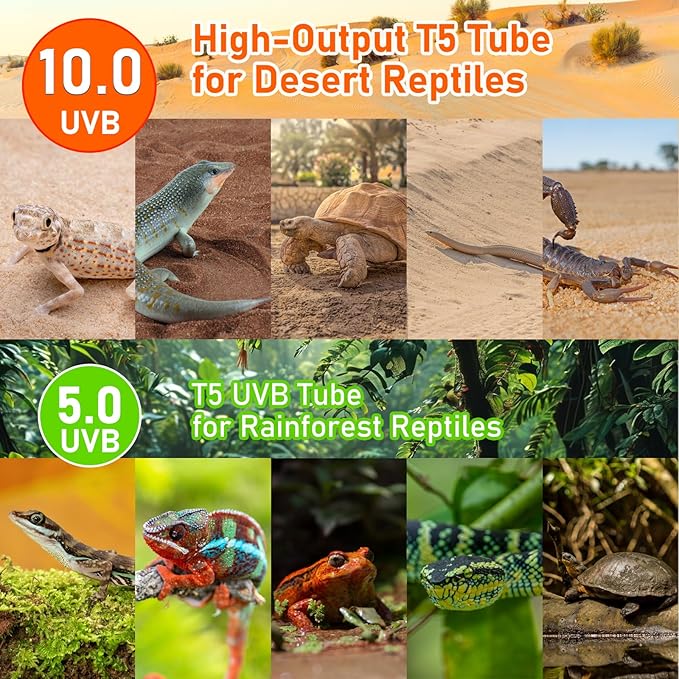 T5 10.0 UVB Light Fixture for Reptiles, 8W UVA UVB HO Reptiles Light Bulbs for Bearded Dragon, Leopard Gecko, Tortoise, Desert Lizards,Reptile & Amphibian Lamp, T5 Tube Uvb Bulb 12 Inch