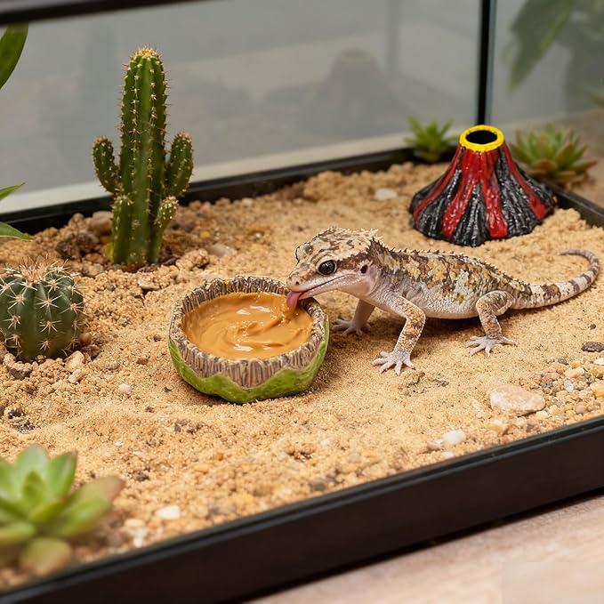 Small Reptile Feeding Dish 2Pack Gecko Food Water Dispenser Worm Bowl with Resin Volcano Decor for Terrarium Leopard Crested Gecko Juvenile Bearded Dragon Lizards Cricket Dubia Feeder