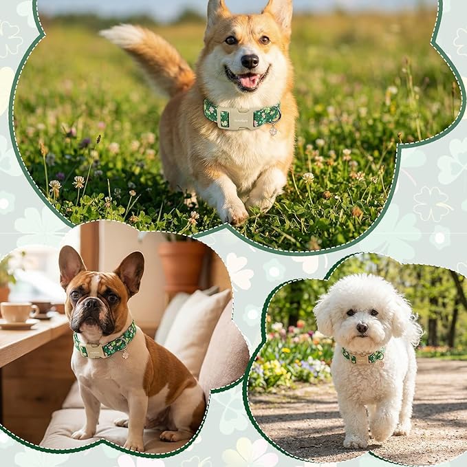 St. Patrick's Day Dog Collar,Green Clover Lucky Shamrock Puppy Collar,Adjustable Spring Cotton Collars Gifts for Small Medium Large Dogs,Dog Accessories L