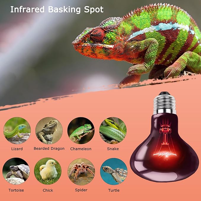 75W Infrared Basking Spot Light Bulbs – Ideal for Reptiles & Amphibians Like Bearded Dragons, Snakes, Turtles & Lizards; Red Heat Lamp for Pet Brooders, Terrariums & Turtle Tanks | 2 Pack