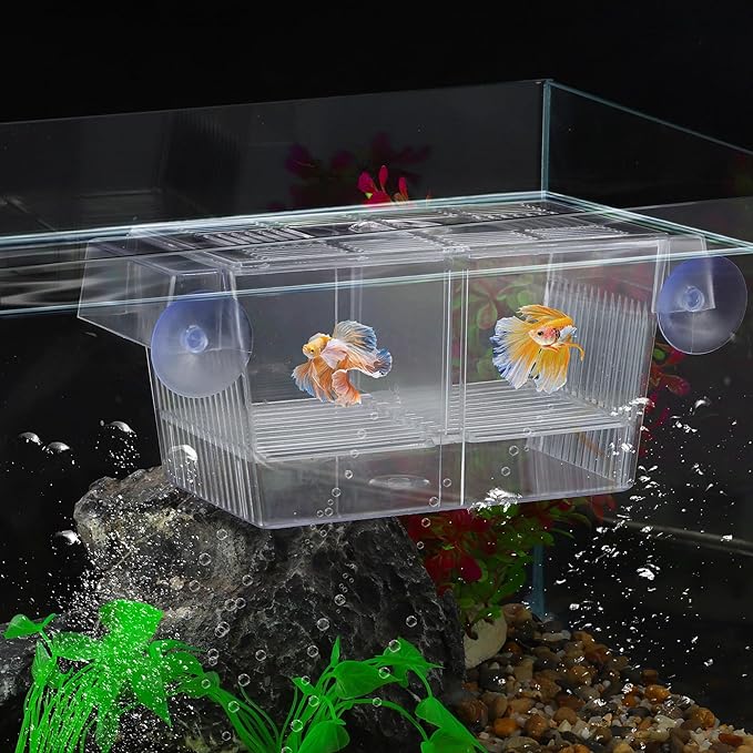 Aquarium Fish Breeder Box, Breeder Box with 2 Suction Cups, Breeder Box for Fish Tank, Large
