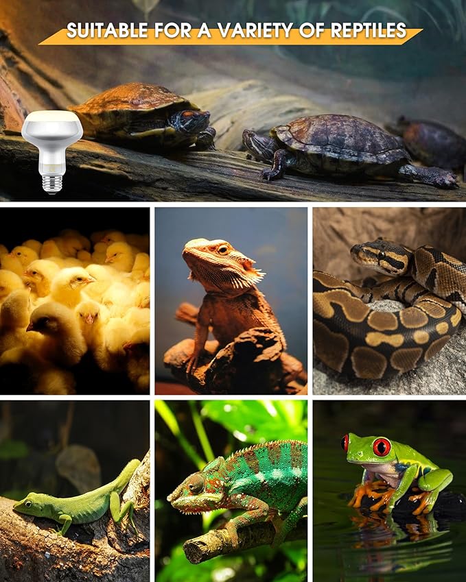 EvaStary Reptile Heat Lamp Bulb, 2-Pack 100W Simulate Natural Sunlight Heat Light Bulb for Reptiles, UVA Daylight Heat Lamp Bulbs for Reptiles, Bearded Dragon, Amphibians, Turtle, Lizard, Snake