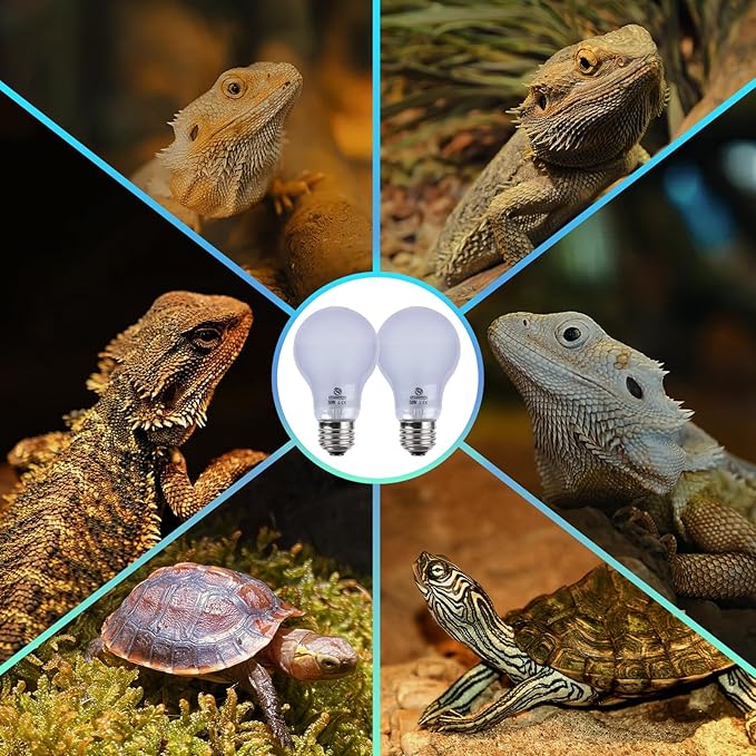 Reptile Heat Lamp 2 Pack 50W, Daylight Heat Bulb for Reptiles & Amphibians, Reptile Heat Light for Bearded Dragon, Lizard, Turtle