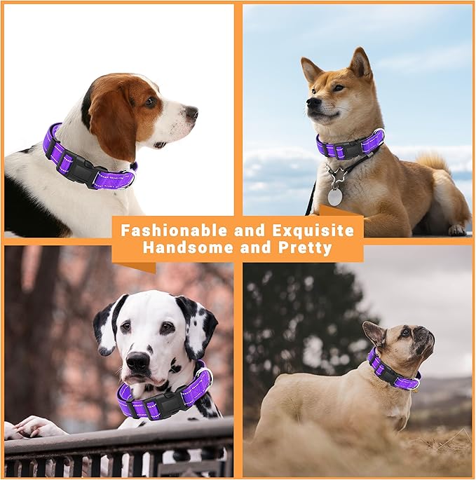 2 Pack Reflective Dog Collar with Safety Locking Buckle, Adjustable Soft Breathable Comfortable Nylon Pet Collar for Small, Medium and Large Dogs, Purple, XL