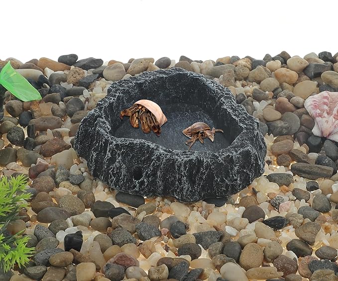 Reptile Food Dish, Resin Lizard Reptile Food Dish, Turtle Water Bowl, Terrarium Feeding Bowl Accessory for Lizard Tortoise Snakes Gecko, Black Gray, 3.54"x3.54"x0.98"