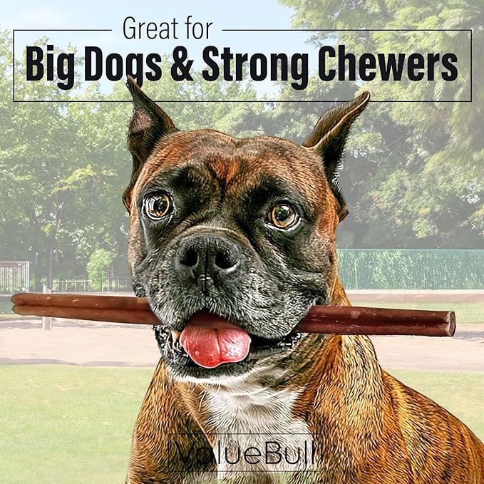 ValueBull Bully Sticks for Dogs, Thick 12 Inch, 200 Count Wholesale Pack - All Natural, Grass Fed, Single Ingredient, Long Lasting Dog Treats