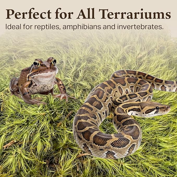 The Habitat Life - Natural Mood Moss - for Reptiles, Amphibians & Invertebrates Terrariums - Moisture-Retaining - Humidity Control - Soft Bedding - Dye-Free & Safe - Medium - 1 Pack