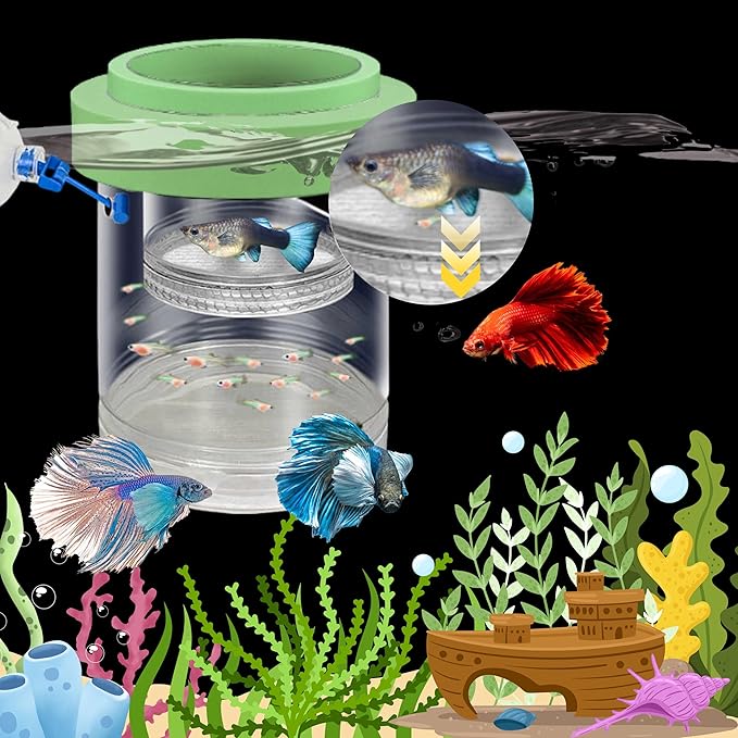 Betta Guppy Breeding Box for Fish Tank and Artificial Plants, Floating Guppy Breeding Box with Suction Cups, Acrylic Breeder Isolation Incubator for Aquarium Tank, Hatchery Breeder Chamber (Green, M)
