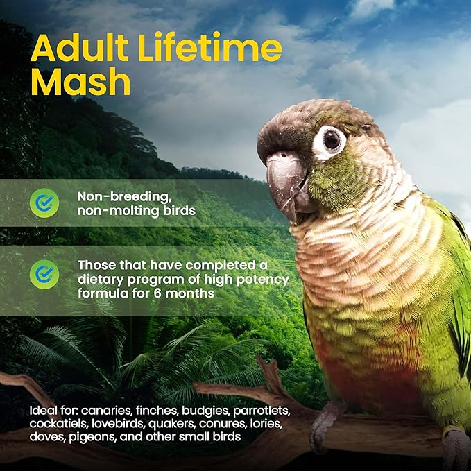 Harrison's Adult Lifetime Mash 1lb