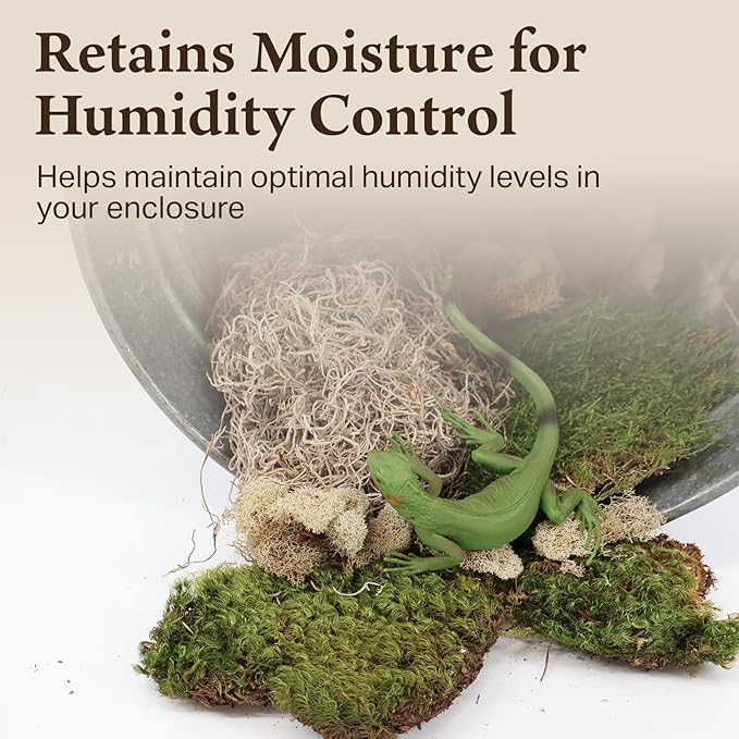 The Habitat Life - Natural Variety Pack - Mix of Reindeer, Mood, Sheet & Spanish Moss - for All Terrariums - Humidity Control - Breathable Bedding - Dye-Free & Safe - Medium - 1 Pack