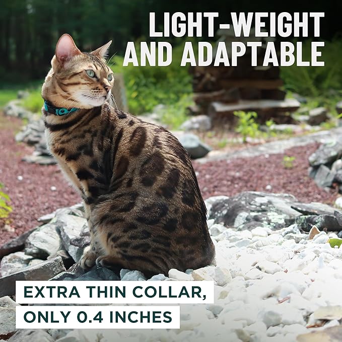 OutdoorBengal Blue Cat Collar Breakaway with Soft Padding for Medium to Large Cats - Durable Heavy Duty Tactical Fabric, Comfortable, Quick Release Breakaway Cat Collars, No Bell Collar (Blue, Adult)