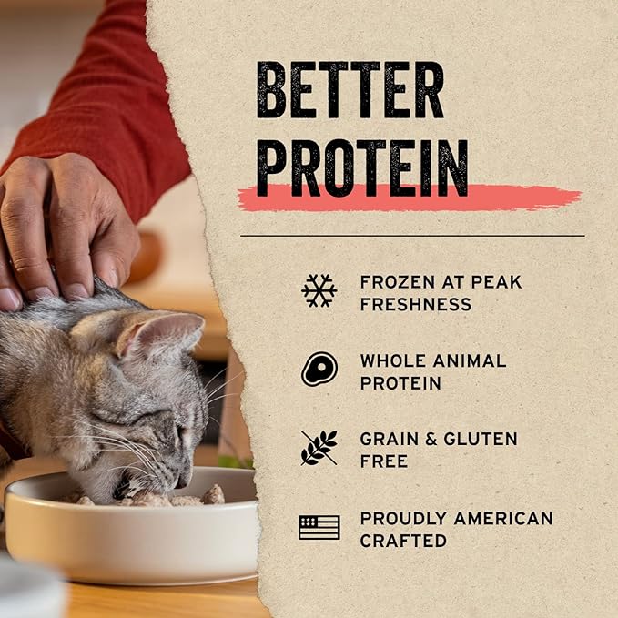 Vital Essentials Minnows Cat Treats, 1 oz | Freeze-Dried Raw | Single Ingredient | Grain Free, Gluten Free, Filler Free