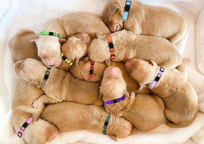 Puppy Collars for Litter,Puppy Collars for Small Puppies Soft Nylon Safety Whelping Litter Collar for Newborn Pets with Record Keeping Charts 12pcs(M)