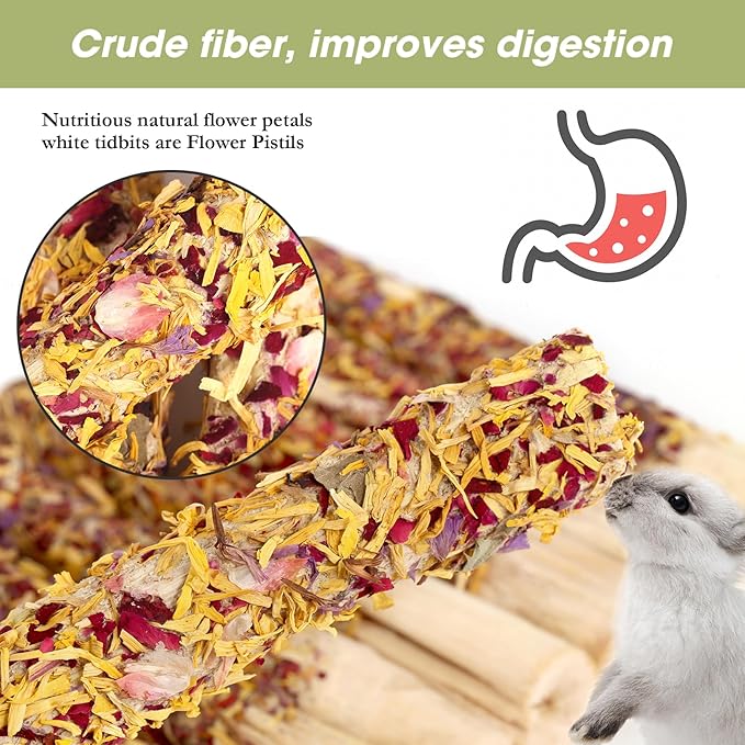 Abizoo Natural Rabbit Chew Toys - 10 Sweet Bamboo Sticks for Rabbits, Guinea Pigs, Chinchillas & Hamsters - Healthy Wooden Snacks for Teeth