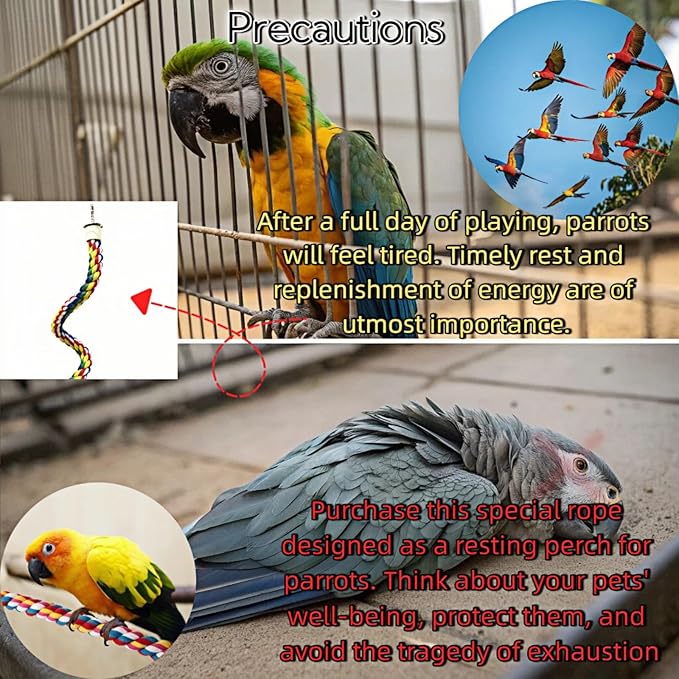 Bird Rope Perches, Parrot Toys, Bungee Rope Perches for Parrots, Cockatiels, Parakeets, Budgie Cages Comfy Birds (Metal Nut) - 23.62 inches