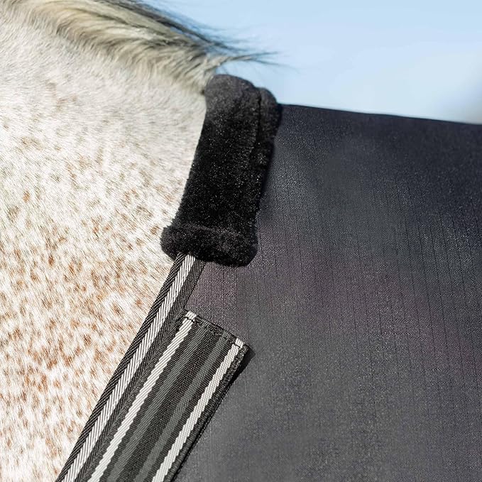 Equinavia Norse Lightweight 100g Fill Horse Rain Blanket | Waterproof Turnout Sheet - Black - 66 in - Black - 72 in