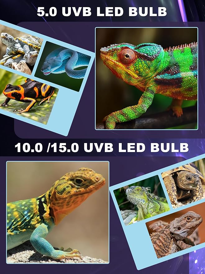 LED UVB Light for Reptiles, 5W 10.0 LED UVA UVB Lamp, Reptile UVB Bulb for Bearded Dragon Lizard Gecko Snake Turtle, Provide Sufficient UVB Exposure Tropical & Desert Reptiles