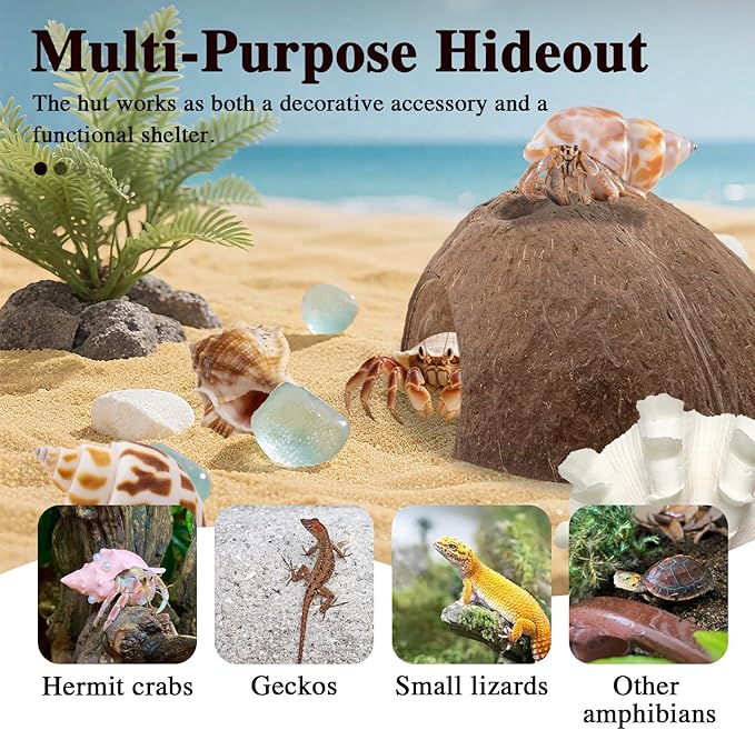 Hermit Crab Shells 1 Coconut Shell Hut 5 PCS Hermit Crab Seashells Accessories Decorations Enrichment Hut for House Hermit Crab Tank Hide Reptile Hideout