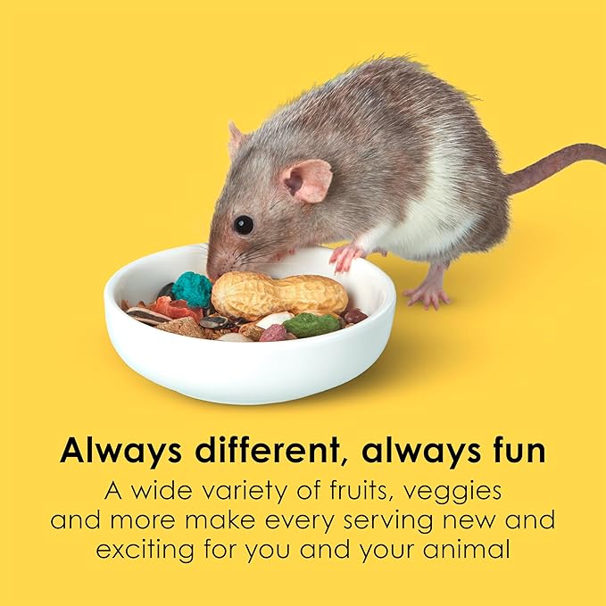 Kaytee Fiesta Mouse & Rat Food, Nutritious and Fun Blend, Supports Dental Health and Digestion, 2 pounds
