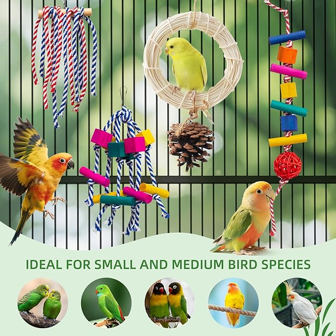 4-in-1 Bird Chew Toys - Colorful Ropes & Wood Blocks for Foraging Fun - Small Parrot Cage Toys for Conures, Lovebirds (30-Day Play Guarantee)