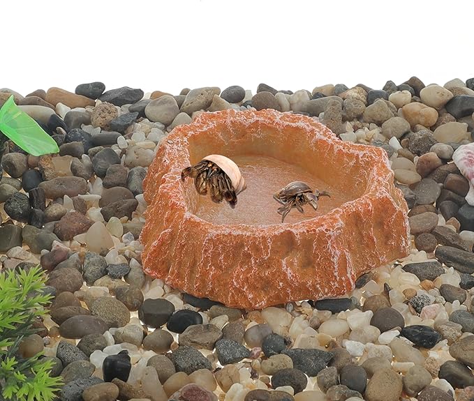 Reptile Food Dish, Resin Lizard Reptile Food Dish, Turtle Water Bowl, Terrarium Feeding Bowl Accessory for Lizard Tortoise Snakes Gecko, Orange, 3.54"x3.54"x0.98"