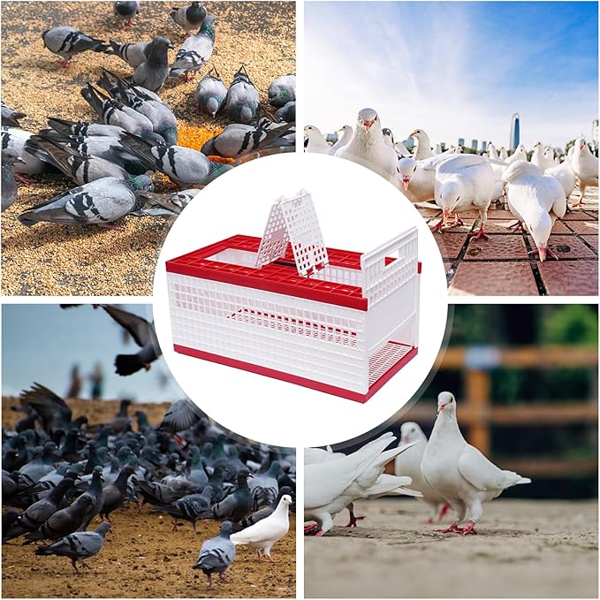 Racing Pigeon Carrier Box, Plastic Transportation Pigeon Cage, Folding Pigeon Training Release Cage with 2 Side Doors + 2 Top Department