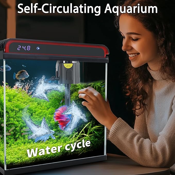 5 Gallon Fish Tank, Glass Aquarium Starter Kits