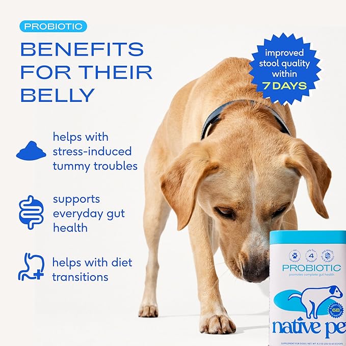 Native Pet Probiotics for Dogs - Dog Probiotics Powder for Digestive Health, Gut Support, & Immune Boost – Vet-Formulated Powder for Maximum Potency with Digestive Enzymes & Prebiotics - 60 Scoops