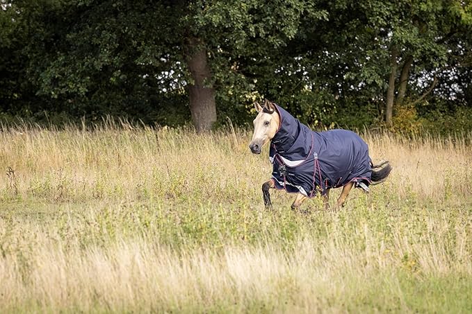 LeMieux Kudos 200g Turnout Blanket - 1680Denier Waterproof Outer - Detachable Neck Inlcluded - Navy - 66"