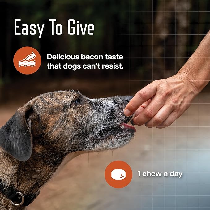 Virbac URSOLYX Soft Chews for Dogs | Muscle Health Support for Senior, Active or Recovering Dogs, Large | 60 Count 2- Month Supply
