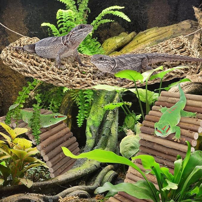 Bearded Dragon Tank Accessories, 3pack Reptile Habitat Hammock Natural Seagrass and Natural Wood Bendable Bridge for Climbing, Hermit Crab, Lizard, Mice, Spiders, Turtle, Snake