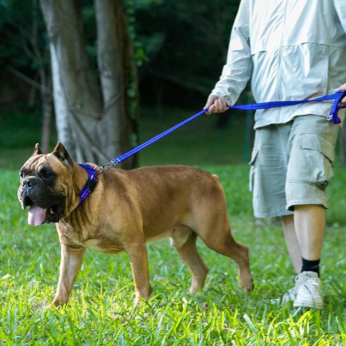 EXCELLENT ELITE SPANKER Reflective Dog Collar Classic Soft Padded Breathable Nylon Adjustable Pet Collar with Quick Release Buckle for Boy Girl Male Female Small Medium Large Dogs Training(LBLU-S)