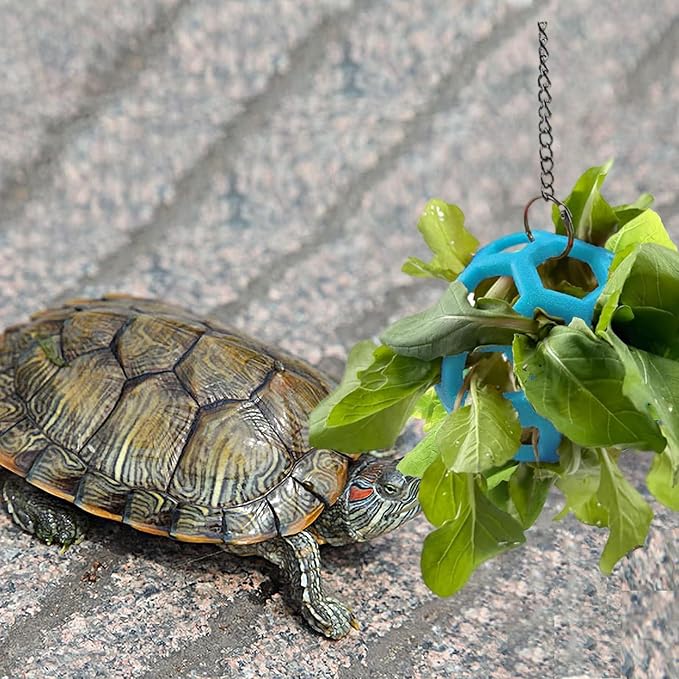 2 Pcs Tortoise Treat Ball, Hanging Hay Feeder for Small Animals, Turtle Foraging Toy with Fruit with Chain, Enrichment Feeding Ball for Pet Tortoise