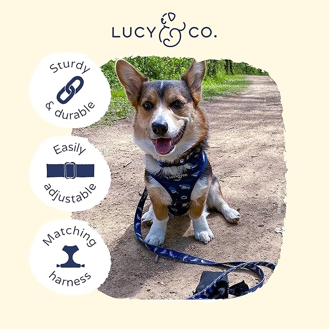 Lucy & Co. Shark Attack Adjustable Dog Collar- Cute Designer Pet Collar for Small, Medium, Large Dogs- Buckle Closure Dog Accessories, Medium, Navy & White Shark
