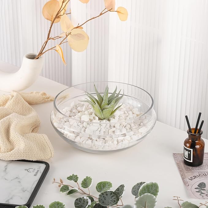Glass Serving Bowl, 10 Inch Round Clear Crystal Display Bowl for Fruit, Salad, Decorative Centerpiece (9.8"x4.8")
