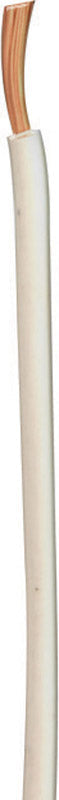 Coleman Cable 100 ft. Stranded 10 Ga. Primary Wire 55671923