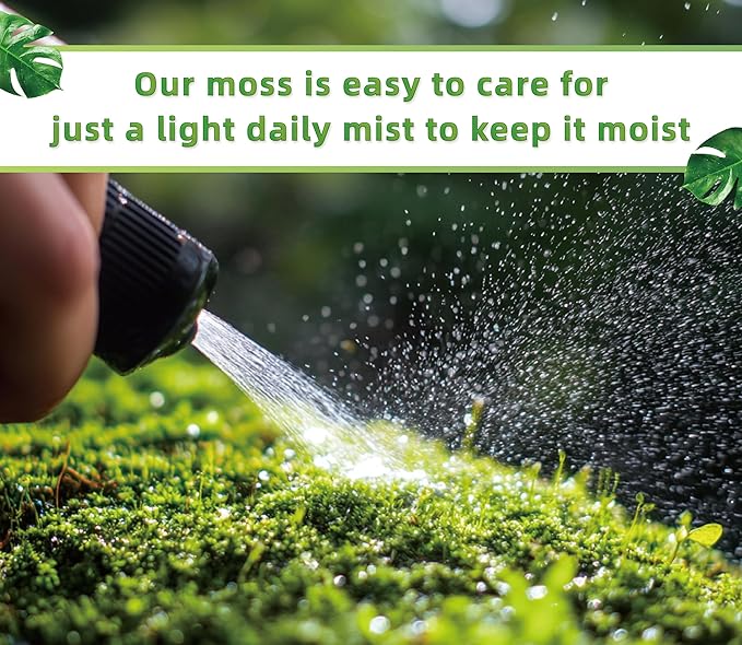 Live Moss for Reptiles - Terrarium Moss for Reptiles Peat Moss for Reptiles Habitat Bedding Moss for Snakes Turtle Frog Gecko and Other Reptiles Substrate 50 Square inches Live Moss