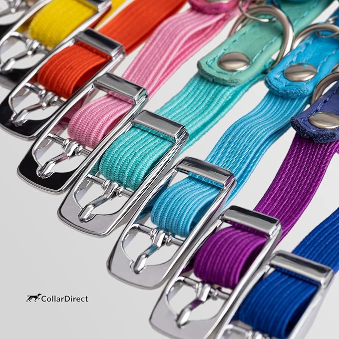 CollarDirect Leather Cat Collar, Kitten Collar with Removable Bell Black Blue Red Orange Lime Green (6-7 Inch, White)