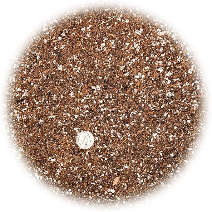 Gardenera Professional Carnivorous Plant Soil - Ready to Use for Venus Flytraps, Sundews, Pitcher Plants, Butterworts | Peat Moss, Coco Coir, Perlite - 1 Quart Bag