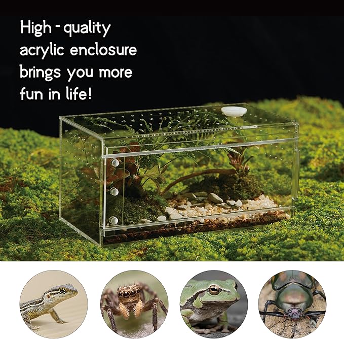 Acrylic Terrarium for Reptiles & Spiders – Small/Medium/Large Leak-Proof Enclosure (Horizontal/Vertical) | Ideal for Tarantulas, Jumping Spiders, Frogs & Geckos(Small Horizontal)
