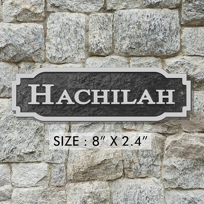 Acrylic Horse Stall Name Plate, 2.4" x 8" Personalized Stall Signs, UV Protected, Custom Pet Name Sign, All Weather Adhesive, Mounting (Silver, Style 2)