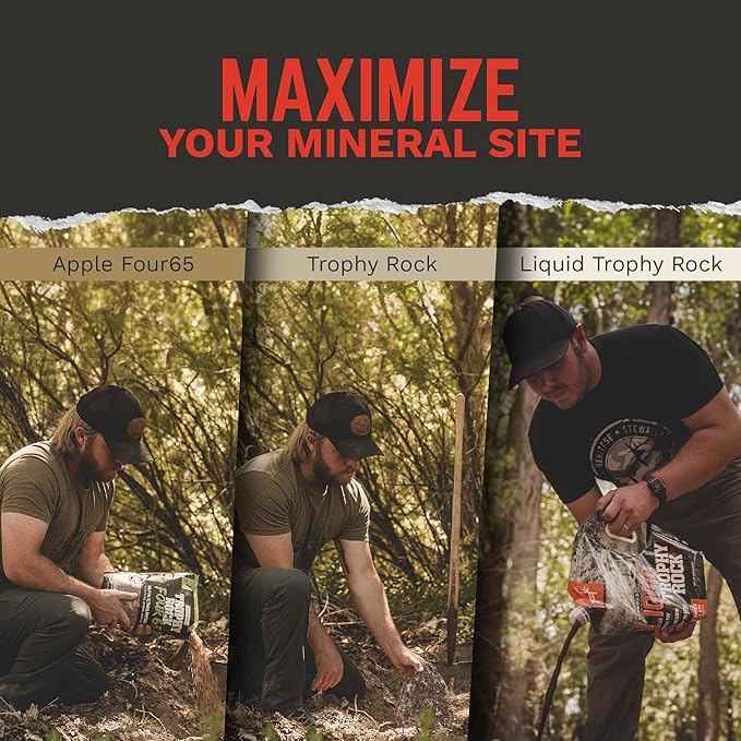 Trophy Rock® Mineral Bundle