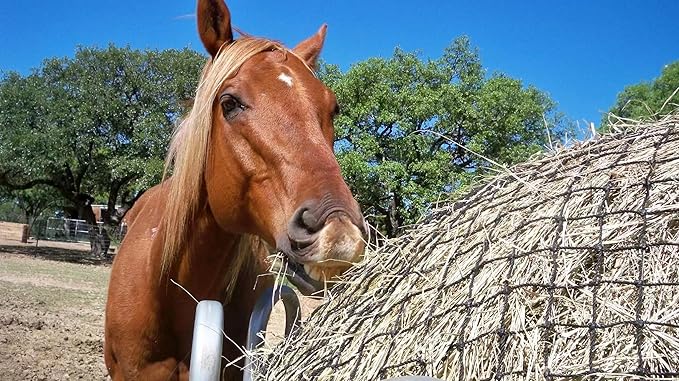 Hay Nets for Horses – 6x6 Ft Thick Hay Net Slow Feeder – Round Bale Hay Net 1.5" Holes Fits Bales [4x4-6x6]” or [3x3x8-4x4x8], Hay Bag for Livestock