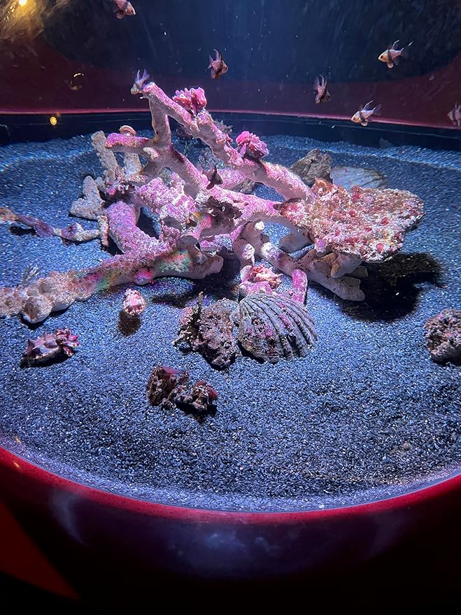 Small World Slate & Stone Aquarium Gravel - Natural Coarse Sand Substrate for Aquascaping Planted, Freshwater and Saltwater Tanks - Gravel Size Approx. 1/32" to 1/8" (6 lbs)