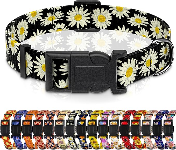 Dog Collar, Daisy Boys Girls Puppy Collar for Small Medium Large Dogs, Adjustable Soft Floral Pet Collar with Safety Buckle for Male Females(Black Daisy,S)