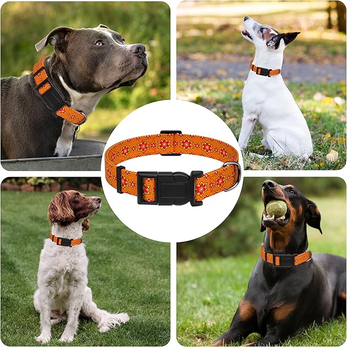 Dog Collar, Classical Indian Spirit Boys Girls Puppy Collar for Small Medium Large Dogs, Adjustable Soft Indian Pet Collar with Safety Buckle for Male Females(Orange, S)
